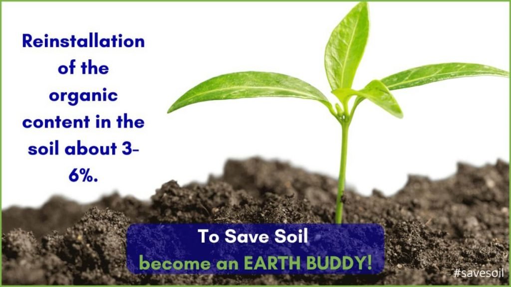 save soil by  rejuvenation