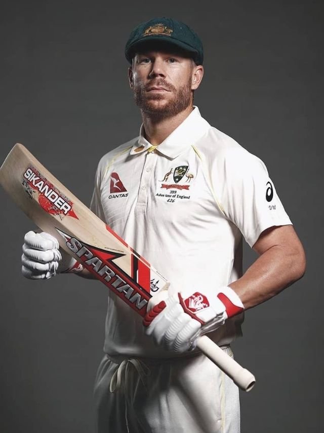 David Warner injury