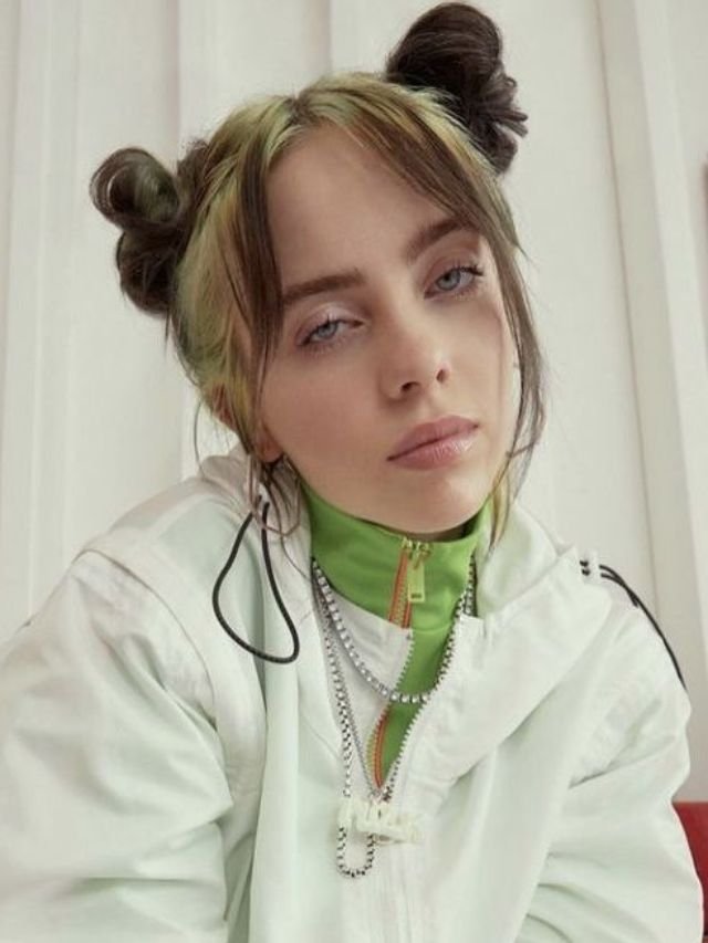 Burglar Arrested From Billie Eilish House!! Anyone Injured?