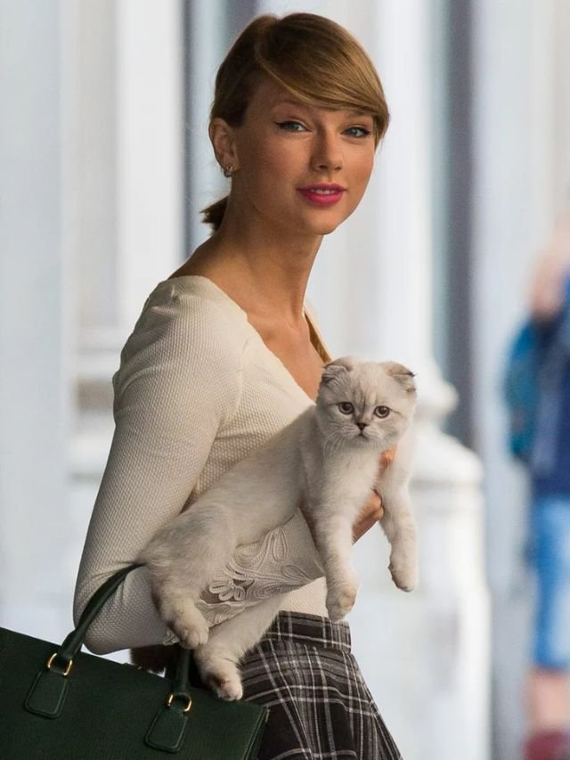 This Pop Star Owns 800 Cr Worth Of Cat!!